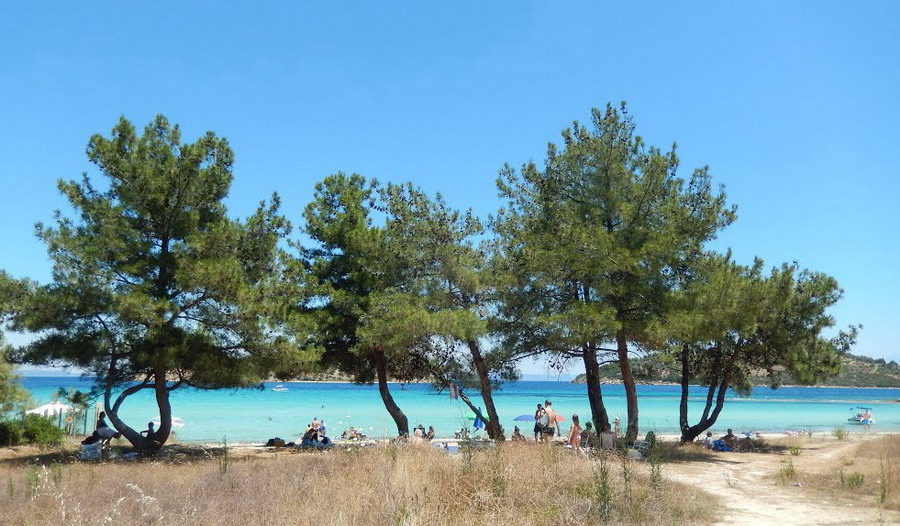  Lagonisi plaža Sitonija 